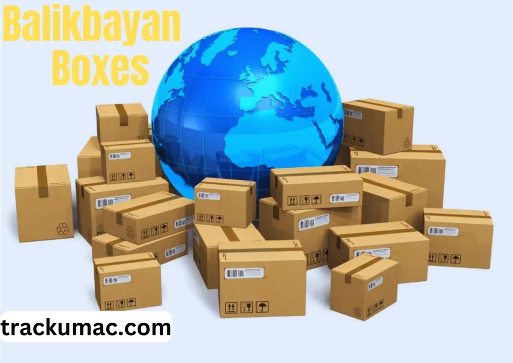 Balikbayan box tracking image
